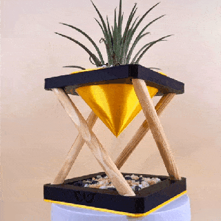 exklusiv tropisch Modell eingetopft Pflanzen Dekoration Sukkulenten saftig Vase Pflanze Valentinstag 3d print model - Mito3D