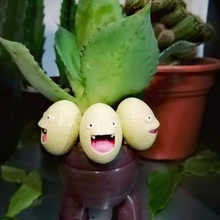 exeggutor plantador Pokémon arte Panela plantar jardim brinquedo anime 3d print model - Mito3D