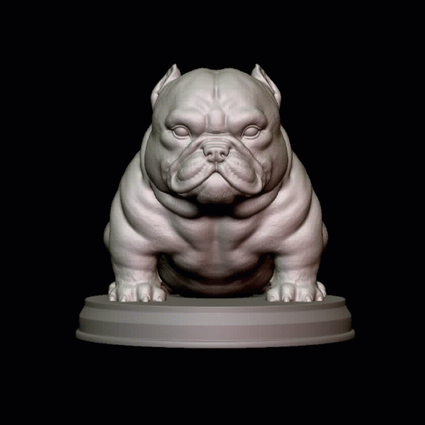 exotic bully puppy Art baby bulldog english bull dog sculpt american animal toys art toy sculpture dogs sculture 3D print model - Mito3D