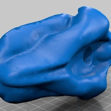 açık Kaya tırmanma tutun çeşitli vulva 3d print model - Mito3D