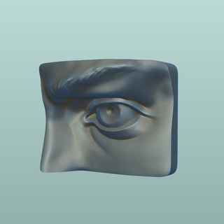 eye plate art design anatomy human decoration study eyebrow eyelid eyes 3d print model - Mito3D