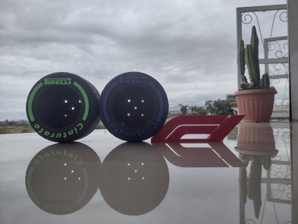 f1 temático flor potes chuva pneus formula1 carreiras pirelli cinturato 3d print model - Mito3D