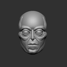 cara anatomía estilizado Arte modelo máscara estatua pared percha frio único 3d 3dmodel juguete escuela politécnica creatividad 3d print model - Mito3D