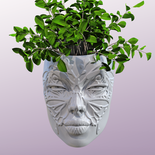 visage wall mount planteur papillon édition mur vase décor monté plante moderne soutiens radeaux 3d print model - Mito3D