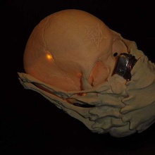 facehugger covid maske et ny yardım aracı 3d baskı cerrahi solunum maskesi respiratör yüz deli covidmask uzaylı 3d print model - Mito3D