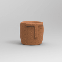 faceted pot face flowerpot flower pots 3d print model - Mito3D