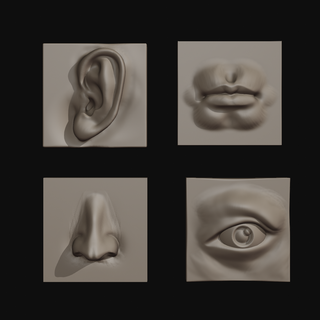 facial caracteristicas cara nariz oído labios ojos cabeza 3d print model - Mito3D