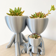 famille couple 1 enfant gamins planteur Robert discorde décor intérieur succulentes plantes cadeaux Parents 3d print model - Mito3D