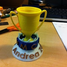 fancy trophy various award cup 3d print model - Mito3D