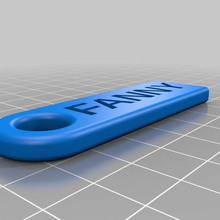 fanny plate customized accessories 3d print model - Mito3D