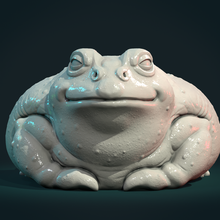 fat toad frog
