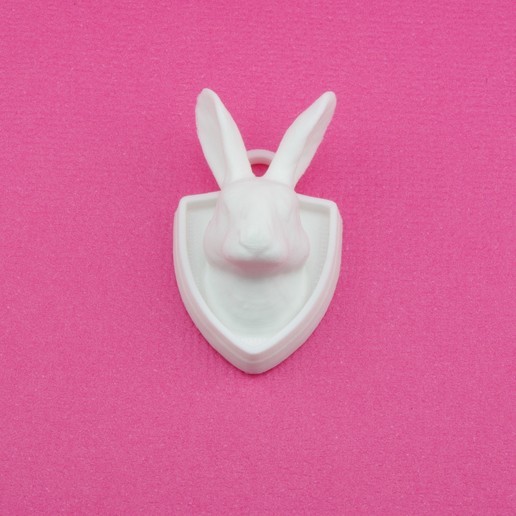 falso taxidermia coelho pingente jóias cabeça de animal troféu a primavera o seu presente escudo crista colar animais 3D print model - Mito3D