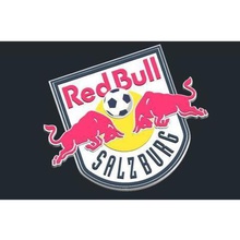 fc redbull salzburg logo game badge csd red bull 3d print model - Mito3D