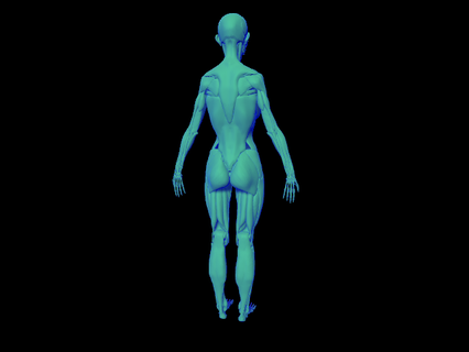 female body muscular system 3d print model - Mito3D