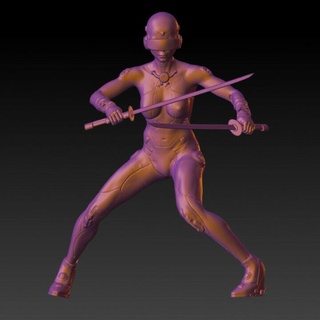 female cyberpunk warrior - rpg warhammer dnd 40k 3d print model - Mito3D