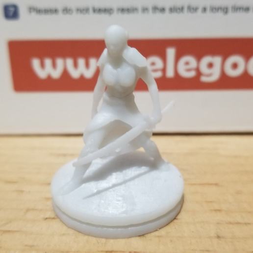 mujer elfo maestro juego bárbaro luchador elf bladesinger tablero de la mesa no molestar mini 3D print model - Mito3D