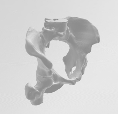 hembra pelvis 3d print model - Mito3D