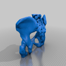 female pelvis tomography scanned computed pelvic bone real scan biology 3d print model - Mito3D