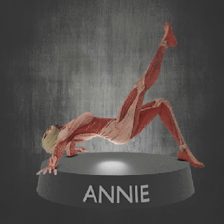 femelle Titan aot attaque sol saison 4 Annie leohardt 3d print model - Mito3D