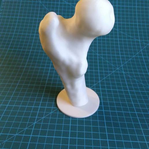 uyluk kemiği dur çeşitli biyoloji prusa femur dekorasyon kemik biyomekanik 3D print model - Mito3D