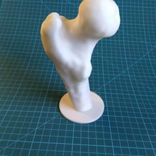 femur bone stand various biology prusa decoration biomechanical 3d print model - Mito3D