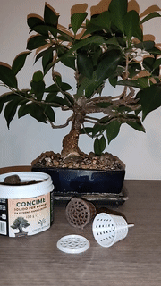 fertilizzante titolare supporto bonsai fertilizzare pianta impianti piante contenitore concime portaconcime 3d print model - Mito3D