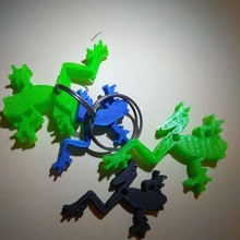 ffrogg keychain frog key animal 3d print model - Mito3D