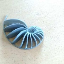 fibonacci nautilus shell rose conch game toy 3d print model - Mito3D
