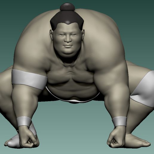 fighting sumo art fight sumoringer sum competition wrestling wrestler overweight 3D print model - Mito3D