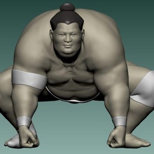 fighting sumo art fight sumoringer sum competition wrestling wrestler overweight 3d print model - Mito3D