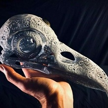 filigrana anatômico Raven crânio Corvo ossos praga médico assassinato corvos olho pássaro caveiras anatomia metalurgia decoração arte esculturas 3d print model - Mito3D
