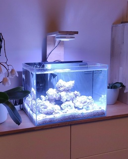filtre dahili dökün akvaryum karşılıklı iç Kayalık taze ev denizci yerleşme balık tank 3d print model - Mito3D