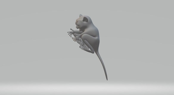 fingue animal lápis 3d print model - Mito3D