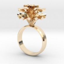 feux d'artifice de l'anneau bijoux 3d print model - Mito3D