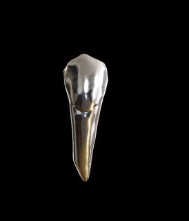 esquerda pré molar 34 dente superior odontologia prótese dental raiz protótipo Typodont cerâmica restauração max zi 3d print model - Mito3D