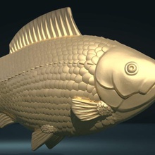fish various carp crucian scale golden water river see lake dace roach art 3d print model - Mito3D