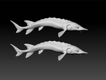 balık oyun unity3d ue5 ue6 yüksek poli düşük Sanat sıra Ölçek model inanılmaz hayvan vuruş güzel Şirin Kraliyet 3d print model - Mito3D