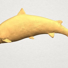 les poissons 04 divers 3d print model - Mito3D