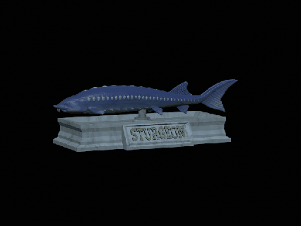 fish beluga sturgeon huso vyza velk statue detailed texture 3d printing Art trophy river fishing shark perch zander carp catfish pike bass trout tuna salmon lure bait dorado 3d print model - Mito3D