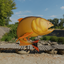 poisson dorade Rio or tigre del parana rivière d'or 3d print model - Mito3D