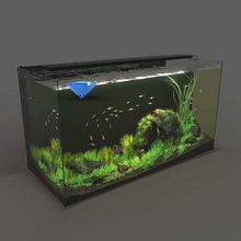 fish food dispenser v8 aquarium holder pets 3d print model - Mito3D
