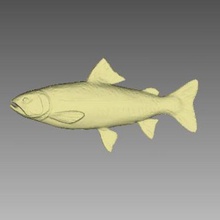 pesce, salmone tonni art 3d print model - Mito3D