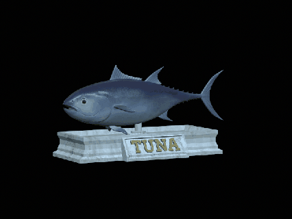 peixe atum rabilho atraente estátua detalhado textura 3d impressão arte troféu rio pescaria Tubarão poleiro zander carpa gato pique graves truta salmão atrair isca animal dourado 3d print model - Mito3D