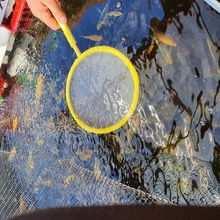 les poissons affichage net koi poisson d'or place de la plaque 300 x outil du l'eau or 3d print model - Mito3D