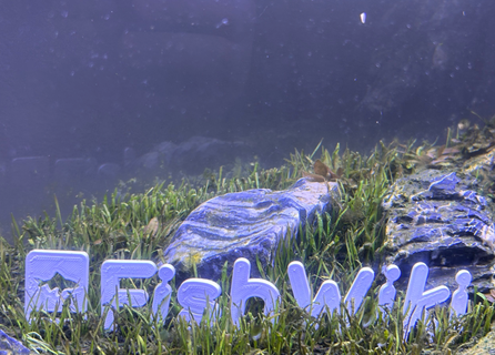 Fischwiki Hollywood Zeichen Aquarium Aquarien Panzer Aquascape 3d print model - Mito3D