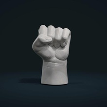 Faust verschiedene fassen Anatomie Finger arm palm hand 3d print model - Mito3D