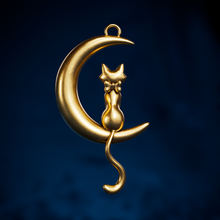 fj 0041 jewelry pendant earrings keychain cute art cartoon moon cat animal 3d print model - Mito3D