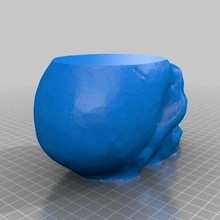 flat-topped skull fangs scans_replicas 3d print model - Mito3D