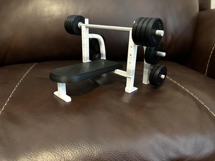 flat bench press weights 3d print model - Mito3D