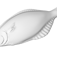 pesce piatto 3d print model - Mito3D
